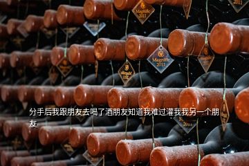 分手后我跟朋友去喝了酒朋友知道我難過灌我我另一個(gè)朋友