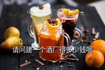 請問建一個酒廠得多少錢呢