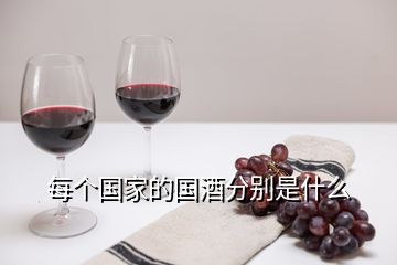 每個(gè)國(guó)家的國(guó)酒分別是什么