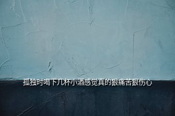 孤獨(dú)時(shí)喝下幾杯小酒感覺(jué)真的狠痛苦狠傷心