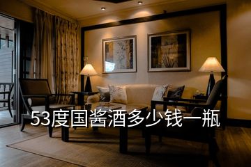 53度國(guó)醬酒多少錢(qián)一瓶
