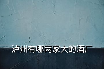 瀘州有哪兩家大的酒廠(chǎng)