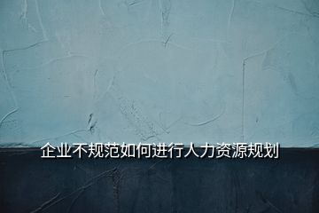 企業(yè)不規(guī)范如何進行人力資源規(guī)劃