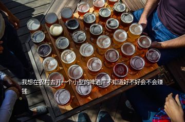 我想在農(nóng)村去開(kāi)一個(gè)小型的啤酒廠不知道好不好會(huì)不會(huì)賺錢