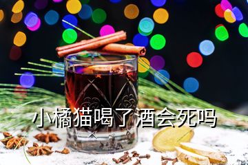 小橘貓喝了酒會(huì)死嗎