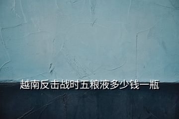 越南反擊戰(zhàn)時五糧液多少錢一瓶