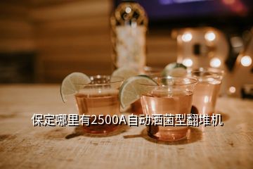保定哪里有2500A自動灑菌型翻堆機(jī)
