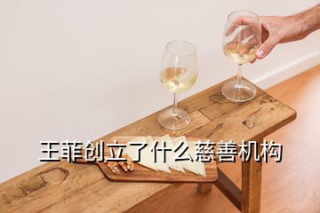 王菲創(chuàng)立了什么慈善機構(gòu)