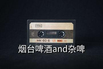 煙臺(tái)啤酒and雜啤