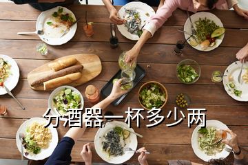 分酒器一杯多少兩