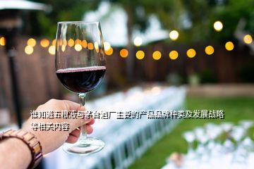 誰知道五糧液與茅臺(tái)酒廠主要的產(chǎn)品品牌種類及發(fā)展戰(zhàn)略等相關(guān)內(nèi)容