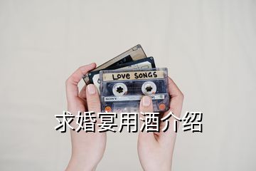 求婚宴用酒介紹