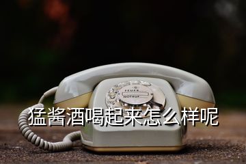 猛醬酒喝起來(lái)怎么樣呢