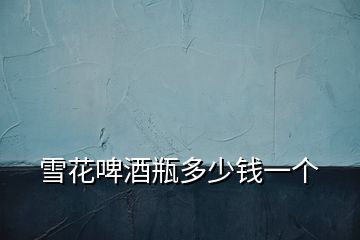 雪花啤酒瓶多少錢一個