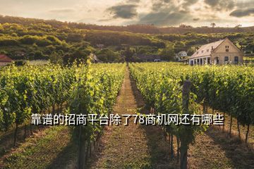 靠譜的招商平臺除了78商機(jī)網(wǎng)還有哪些