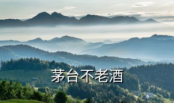 茅臺不老酒