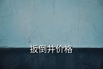 扳倒井價(jià)格