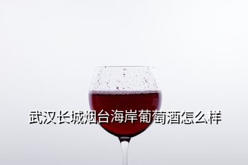 武漢長城煙臺(tái)海岸葡萄酒怎么樣