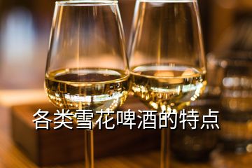 各類(lèi)雪花啤酒的特點(diǎn)