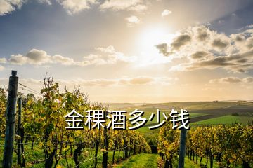 金稞酒多少錢(qián)