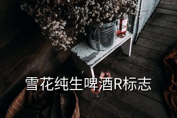 雪花純生啤酒R標志