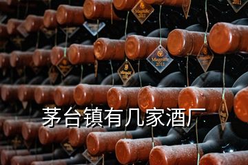 茅臺鎮(zhèn)有幾家酒廠
