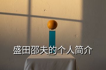 盛田邵夫的個(gè)人簡介
