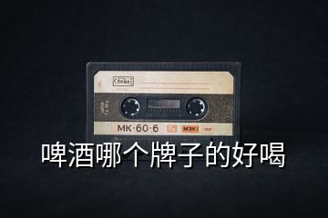 啤酒哪個(gè)牌子的好喝