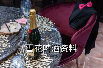 雪花啤酒資料