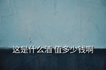這是什么酒 值多少錢(qián)啊