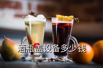 酒瓶蓋設(shè)備多少錢(qián)