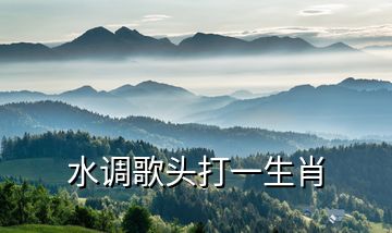 水調(diào)歌頭打一生肖