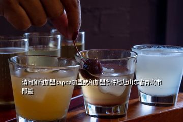 請問如何加盟kappa加盟費(fèi)和加盟條件地址山東省青島市即墨