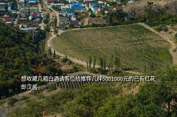 想收藏幾箱白酒請(qǐng)各位給推薦幾樣5001000元的已有紅花郎漢醬