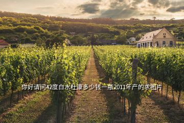 你好請(qǐng)問42度白水杜康多少錢一瓶2011年產(chǎn)的求圖片