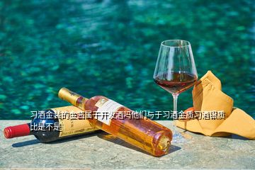 習(xí)酒金裝的金醬屬于開發(fā)酒嗎他們與于習(xí)酒金質(zhì)習(xí)酒銀質(zhì)比是不是