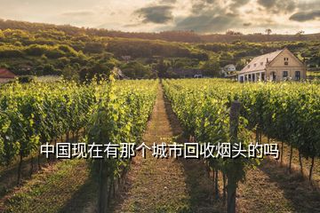 中國現(xiàn)在有那個(gè)城市回收煙頭的嗎