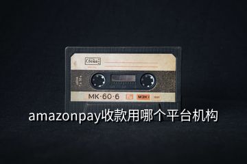 amazonpay收款用哪個(gè)平臺(tái)機(jī)構(gòu)