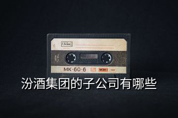 汾酒集團的子公司有哪些