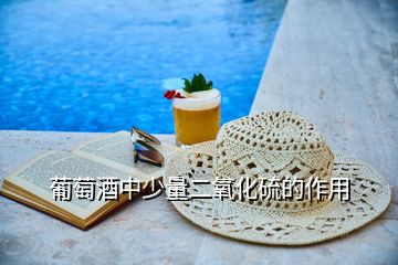 葡萄酒中少量二氧化硫的作用