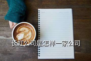 長(zhǎng)虹公司是怎樣一家公司