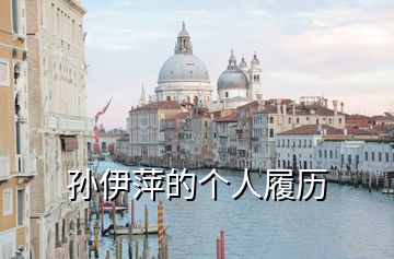 孫伊萍的個(gè)人履歷