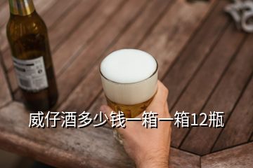 威仔酒多少錢(qián)一箱一箱12瓶