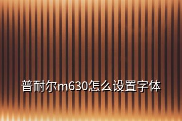 普耐爾m630怎么設置字體