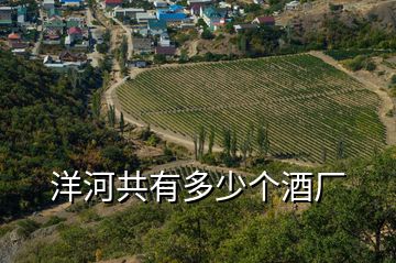 洋河共有多少個(gè)酒廠