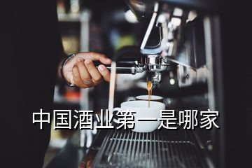 中國(guó)酒業(yè)第一是哪家