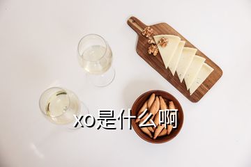xo是什么啊