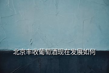 北京豐收葡萄酒現(xiàn)在發(fā)展如何