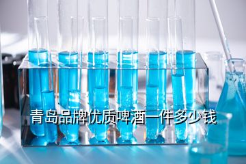 青島品牌優(yōu)質(zhì)啤酒一件多少錢(qián)