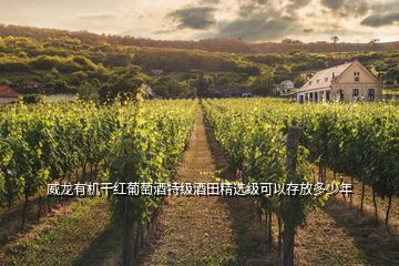 威龍有機(jī)干紅葡萄酒特級(jí)酒田精選級(jí)可以存放多少年